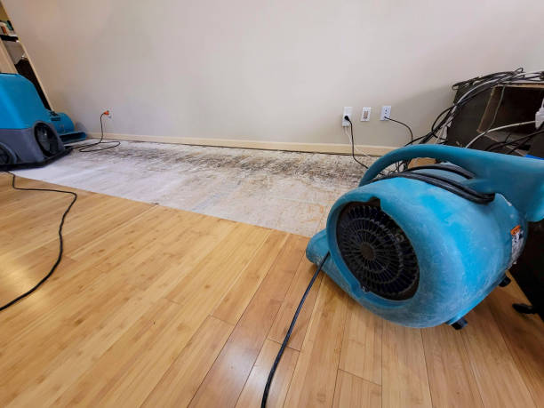 Professional Flood Damage Cleanup technician working in Blackstone, VA
